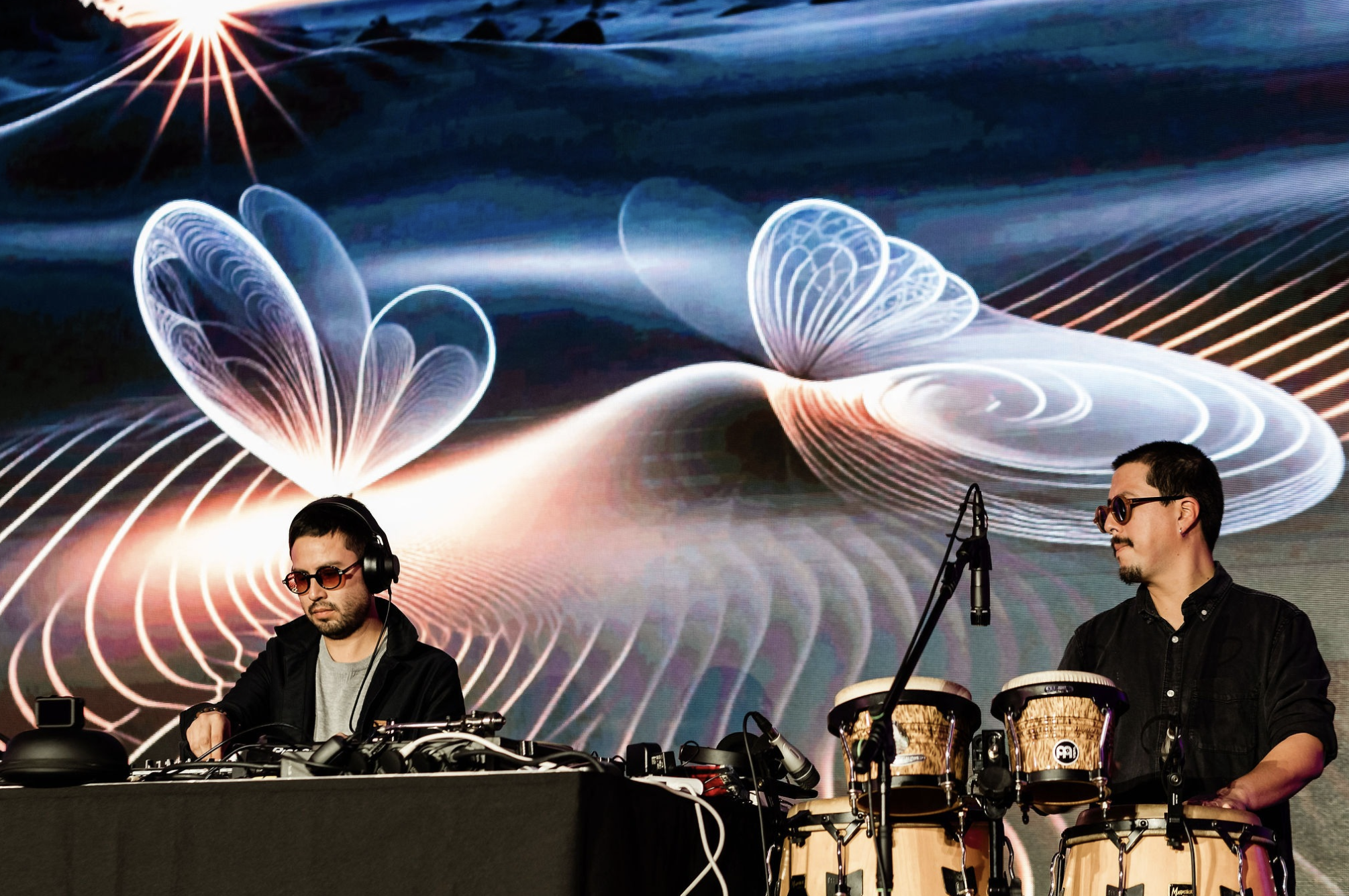 avi and wattusi with butterfly visuals